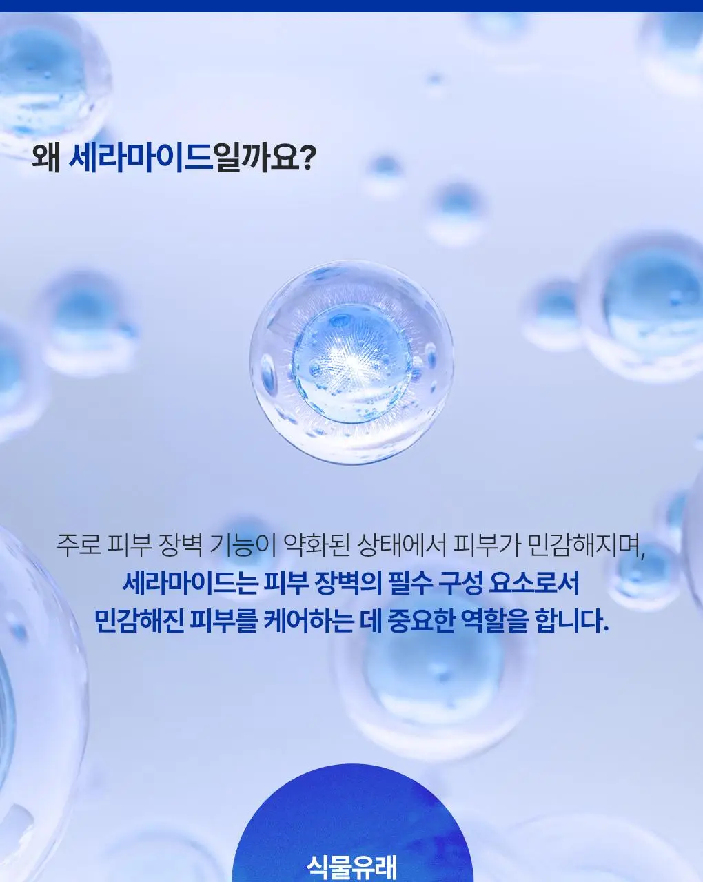 [7월 올영픽] 유리아쥬 시카 데일리 리페어 콘센트레 탄력 크림 50ml 한정기획 (+탄력 크림 15ml) 상세페이지 5